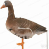 Чучело FGS гусь Белолобый (сторожевой, нефлоковый) купить в интернет-магазине ХантингАрт