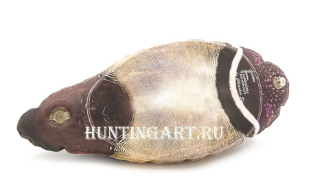 Декоративная Каролинская утка - купить в Санкт-Петербурге