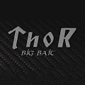 Серия Thor купить в интернет-магазине ХантингАрт