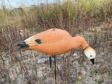 Огарь утка Elite 3D Ruddy Duck, комплект 10 шт (8+2) мягкий пластик купить в магазине Хантингарт