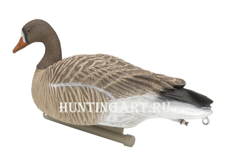 Плавающие чучела Белолобого гуся Floater Speckbelly Goose Oscar Decoys (мягкий пластик), 6 шт в трех позах купить в интернет-магазине ХантингАрт