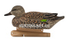 Комплект Avian-X из 6 чучел чирков - Topflight Green-Winged Teal (4 селезня/2 утки) купить в магазине Хантингарт
