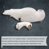 Лебедь Floater Swan, мягкий пластик (плавающий) 6шт купить в интернет-магазине ХантингАрт
