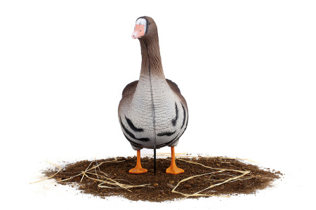 Комплект из 10 сминаемых чучел Белолобого гуся (6 кормящихся+2 отдыхающих+2 сторожевых) North Way SuperXPE 3D (Антиблик) купить в интернет-магазине ХантингАрт