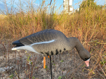 Белолобый гусь Elite 3D Speckbelly Goose, комплект 10 шт (8+2) мягкий пластик купить в интернет-магазине ХантингАрт