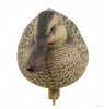 Комплект чучел утки Широконоска Shovelers Over-Size GreenHead (4 селезня, 2 утки) купить в магазине Хантингарт