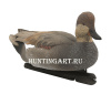 Картинка Комплект Avian-X Topflight Gadwall из 6 чучел серой утки (4 селезня/2 утка) от интернет-магазина ХантингАрт Комплект Avian-X Topflight Gadwall из 6 чучел серой утки (4 селезня/2 утка) купить в магазине Хантингарт