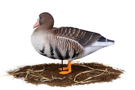 Комплект из 10 сминаемых чучел Белолобого гуся (6 кормящихся+2 отдыхающих+2 сторожевых) North Way SuperXPE 3D (Антиблик) купить в интернет-магазине ХантингАрт