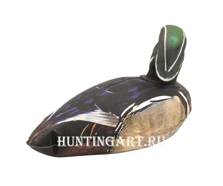 Декоративная Каролинская утка - купить в Санкт-Петербурге