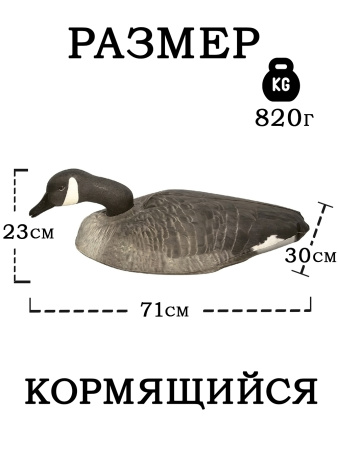 Картинка Надувные чучела Канадской казарки 6шт Cherokee Sport от интернет-магазина ХантингАрт Надувные чучела Канадской казарки 6шт Cherokee Sport купить в интернет-магазине ХантингАрт