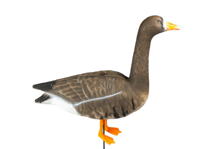 Чучела Белолобого гуся Proplast комплект 6 штук (4 кормящихся, 1 сторожевой, 1 зовущий) купить в интернет-магазине ХантингАрт