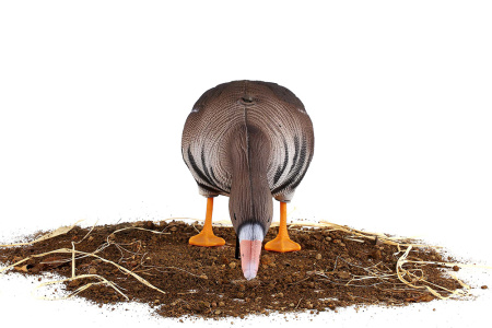 Комплект из 10 сминаемых чучел Белолобого гуся (6 кормящихся+2 отдыхающих+2 сторожевых) North Way SuperXPE 3D (Антиблик) купить в интернет-магазине ХантингАрт