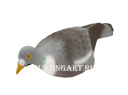 Чучела лесного голубя вяхиря купить в интернет-магазине ХантингАрт