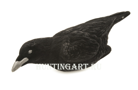 Чучела ворона купить в интернет-магазине ХантингАрт
