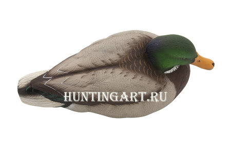 Комплект Avian-X Topflight Open Water Mallards из 6 кормящихся чучел кряквы купить в магазине Хантингарт