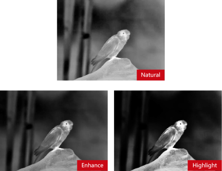 Тепловизионный бинокуляр Guide TN650 купить в интернет-магазине ХантингАрт