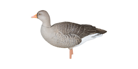 Комплект Avian-X из 6 полноразмерных чучел серого гуся купить в интернет-магазине ХантингАрт