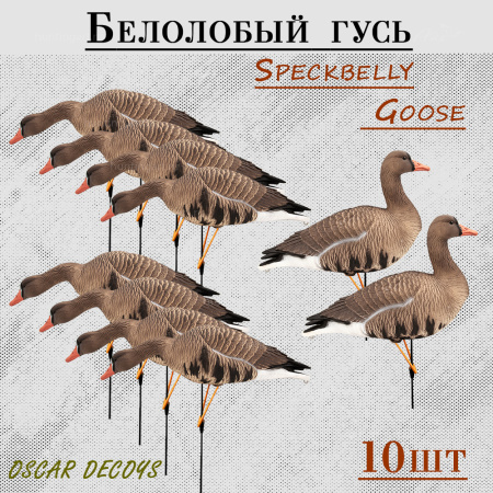 Белолобый гусь Speckbelly Goose, мягкий пластик 10 шт (8+2) купить в интернет-магазине ХантингАрт