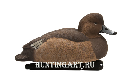 Комплект Avian-X Topflight Readheads из 6 полноразмерных чучел Красноголового нырка купить в магазине Хантингарт