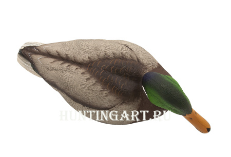 Комплект Avian-X Topflight Back Water Mallards из 6 кормящихся чучел кряквы (4 селезня/2 утки) купить в магазине Хантингарт