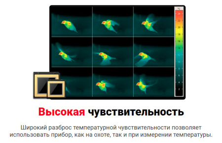 Тепловизионный монокуляр iRay DV DP09 купить в интернет-магазине ХантингАрт