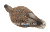 Картинка Комплект Avian-X Early Season Topflight Mallards (ранний сезон) из 6 чучел кряквы (4 селезня/2 утки) от интернет-магазина ХантингАрт Комплект Avian-X Early Season Topflight Mallards (ранний сезон) из 6 чучел кряквы (4 селезня/2 утки) купить в магазине Хантингарт
