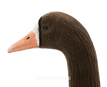 Плавающие чучела Белолобый гусь North Way Softplast Живое перо, 6 шт (3 активный, 3 сторожевых) купить в интернет-магазине ХантингАрт