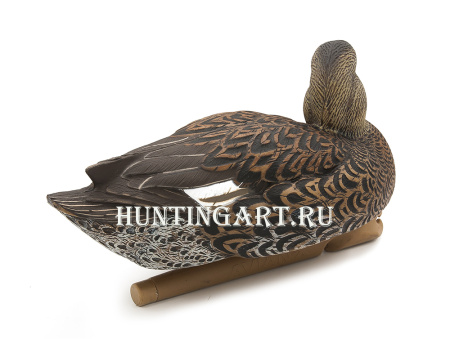 Картинка Комплект Avian-X Topflight Gadwall из 6 чучел серой утки (4 селезня/2 утка) от интернет-магазина ХантингАрт Комплект Avian-X Topflight Gadwall из 6 чучел серой утки (4 селезня/2 утка) купить в магазине Хантингарт
