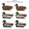 Комплект Avian-X Topflight Open Water Mallards из 6 кормящихся чучел кряквы купить в магазине Хантингарт