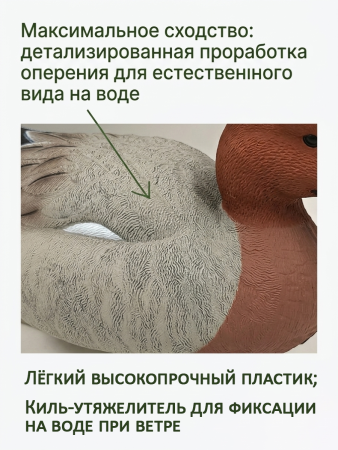 Чучело свиязь (селезень) для охоты, комплект 6шт купить в магазине Хантингарт