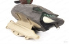 ЧИРОК - Stormfront™ Classic Green Winged Teal 6-шт купить в магазине Хантингарт