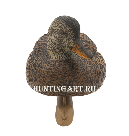 Картинка Комплект Avian-X Topflight Gadwall из 6 чучел серой утки (4 селезня/2 утка) от интернет-магазина ХантингАрт Комплект Avian-X Topflight Gadwall из 6 чучел серой утки (4 селезня/2 утка) купить в магазине Хантингарт
