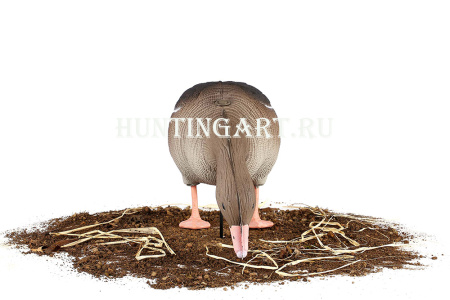 Комплект 10 шт (6 кормящихся, 2 сторожевых, 2 отдыхающих) сминаемых чучел Серого гуся 3D S-XPE North Way купить в интернет-магазине ХантингАрт