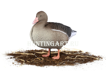 Комплект 10 шт (6 кормящихся, 2 сторожевых, 2 отдыхающих) сминаемых чучел Серого гуся 3D S-XPE North Way купить в интернет-магазине ХантингАрт