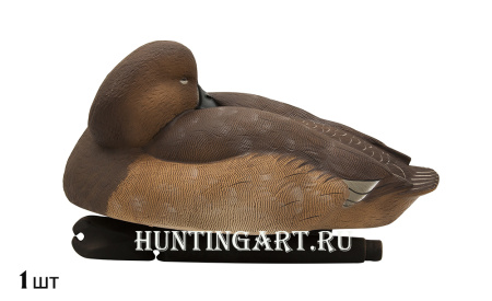 Комплект Avian-X Topflight Readheads из 6 полноразмерных чучел Красноголового нырка купить в магазине Хантингарт