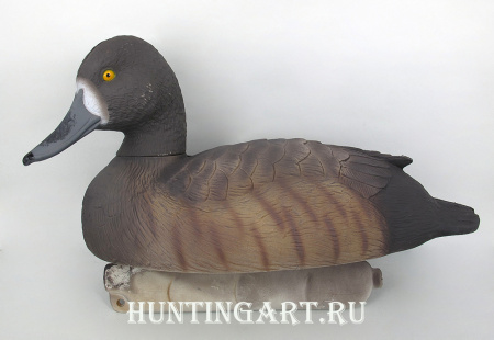 Картинка Комплект чучел 62 Breite - Чернеть морская: 1шт (селезень), 1шт (утка) от интернет-магазина ХантингАрт Комплект чучел 62 Breite - Чернеть морская: 1шт (селезень), 1шт (утка) купить в магазине Хантингарт