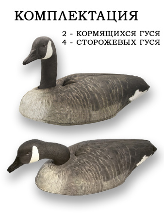 Картинка Надувные чучела Канадской казарки 6шт Cherokee Sport от интернет-магазина ХантингАрт Надувные чучела Канадской казарки 6шт Cherokee Sport купить в интернет-магазине ХантингАрт