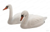 Лебедь белый (муляж) Sport Plast купить в интернет-магазине ХантингАрт
