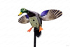 Механическое чучело утки Mojo Elite Series - King Mallard купить в интерент-магазине Хантингарт