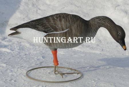 Чучела 62 Breite гуся Гуменника, комплект из 6 шт (1-сторожевой, 1-отдыхающий, 4-кормящихся) купить в интернет-магазине ХантингАрт
