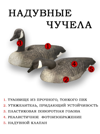 Картинка Надувные чучела Канадской казарки 6шт Cherokee Sport от интернет-магазина ХантингАрт Надувные чучела Канадской казарки 6шт Cherokee Sport купить в интернет-магазине ХантингАрт