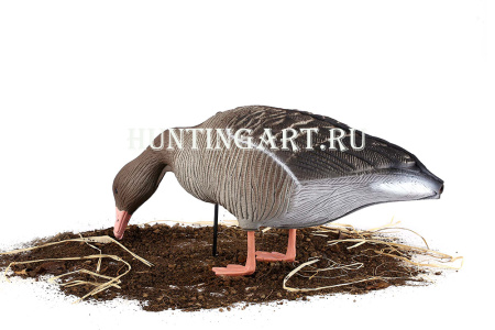 Комплект 10 шт (6 кормящихся, 2 сторожевых, 2 отдыхающих) сминаемых чучел Серого гуся 3D S-XPE North Way купить в интернет-магазине ХантингАрт