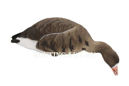Чучела Белолобого гуся полнокорпусные, 6 шт (4 кормящихся, 2 активных) купить в интернет-магазине ХантингАрт
