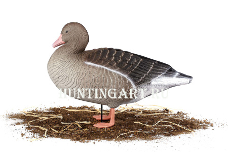 Комплект 10 шт (6 кормящихся, 2 сторожевых, 2 отдыхающих) сминаемых чучел Серого гуся 3D S-XPE North Way купить в интернет-магазине ХантингАрт