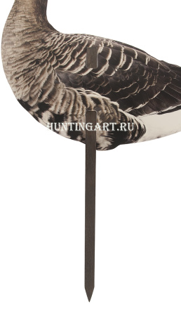 Комплект фотореалистичных профилей белолобого гуся 12 штук+сумка купить в интернет-магазине ХантингАрт