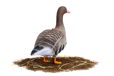 Комплект из 10 сминаемых чучел Белолобого гуся (6 кормящихся+2 отдыхающих+2 сторожевых) North Way SuperXPE 3D (Антиблик) купить в интернет-магазине ХантингАрт