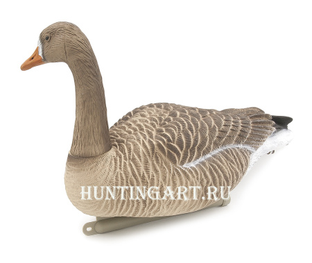 Плавающие чучела Белолобого гуся Floater Speckbelly Goose Oscar Decoys (мягкий пластик), 6 шт в трех позах купить в интернет-магазине ХантингАрт