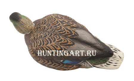 Картинка Комплект Avian-X Early Season Topflight Mallards (ранний сезон) из 6 чучел кряквы (4 селезня/2 утки) от интернет-магазина ХантингАрт Комплект Avian-X Early Season Topflight Mallards (ранний сезон) из 6 чучел кряквы (4 селезня/2 утки) купить в магазине Хантингарт
