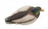 Комплект Avian-X Late Season Topflight Mallards из 6 (4 селезня/ 2 утки) полноразмерных чучел кряквы купить в магазине Хантингарт