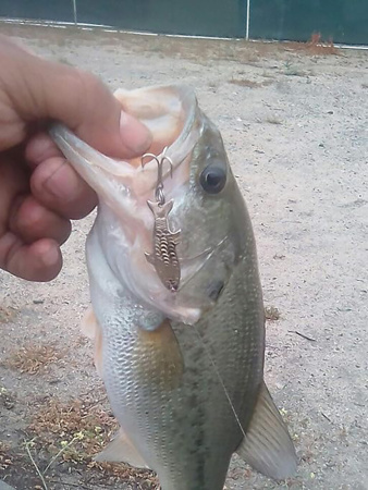 Блесна Thomas Fighting Fish (1/4 oz) купить в интернет-магазине ХантингАрт